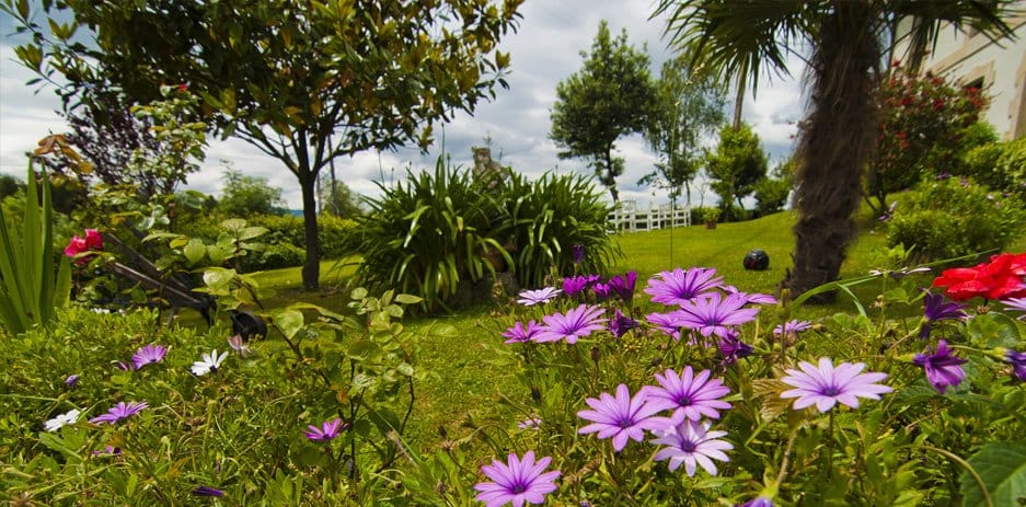 El Jardín de La Posada Río Cubas en flor