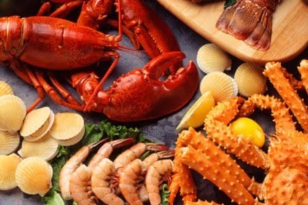 !! VEN A DEGUSTAR EL MEJOR MARISCO DEL CANTÁBRICO !!! Y DUERME EN UNA CASA DE LUJO