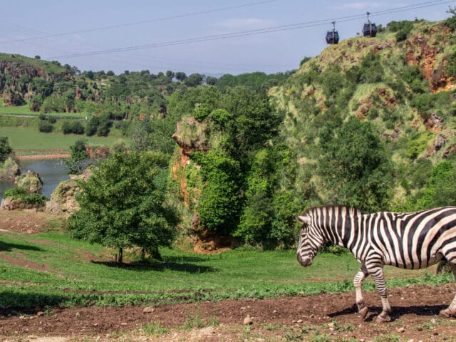 Cabárceno, un viaje increíble en el corazón de la naturaleza