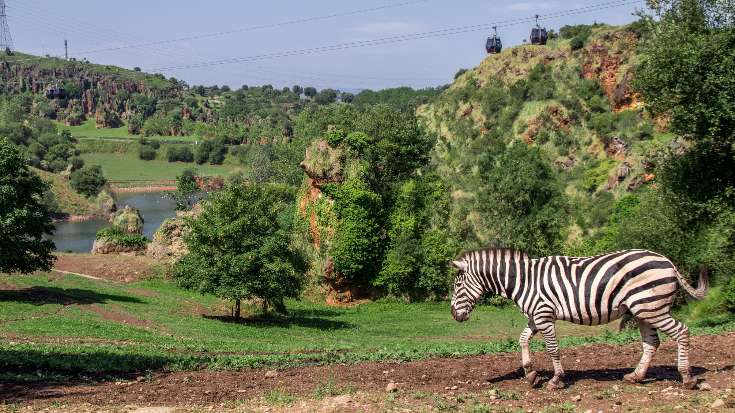 Cabárceno, un viaje increíble en el corazón de la naturaleza