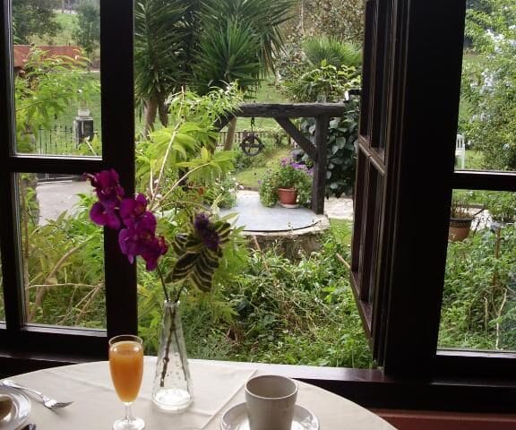 Un cactus, un huésped que crece día tras día en la Posada Río Cubas