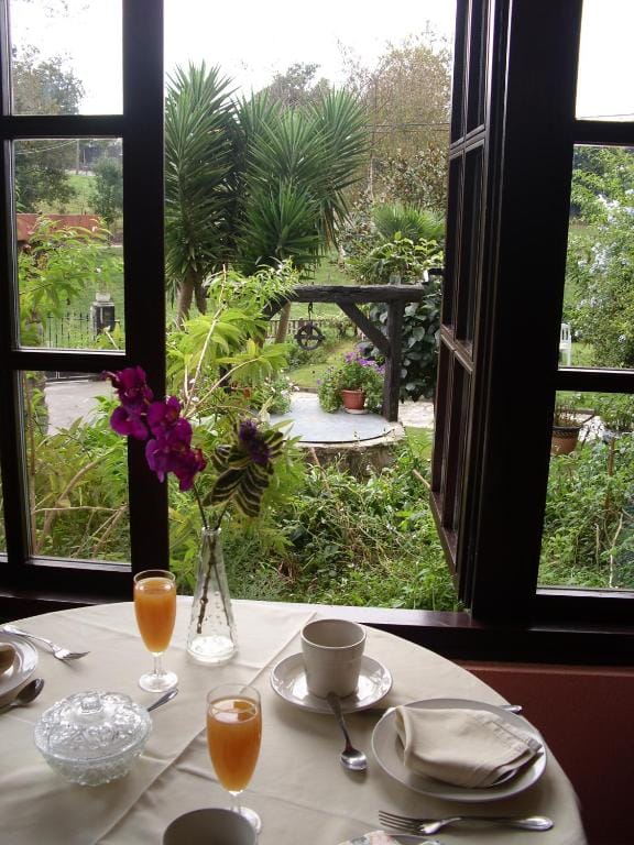 Un cactus, un huésped que crece día tras día en la Posada Río Cubas