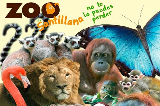 Visita recomendada para los que aman los animales: El Zoo de Santillana